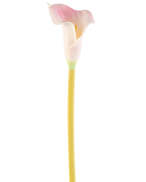 La flor artificial de cala de 64 cm, una única alcatrace rosa y blanca con un tallo amarillo, se muestra sobre un fondo blanco liso.