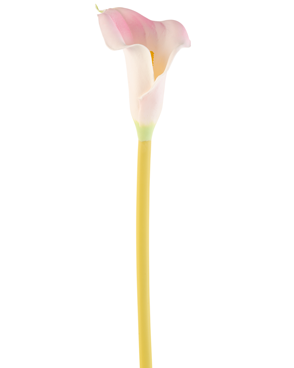 La flor artificial de cala de 64 cm, una única alcatrace rosa y blanca con un tallo amarillo, se muestra sobre un fondo blanco liso.