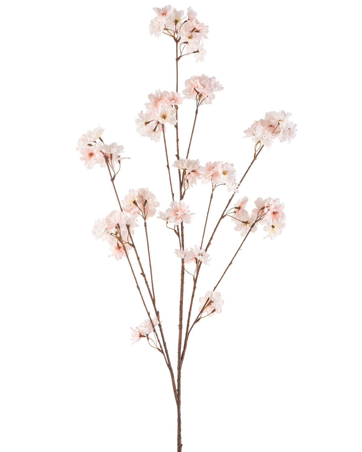 La flor de cerezo artificial color rubor de 130 cm tiene múltiples tallos delgados con racimos de delicadas flores de cerezo de color rosa claro sobre un fondo blanco liso.