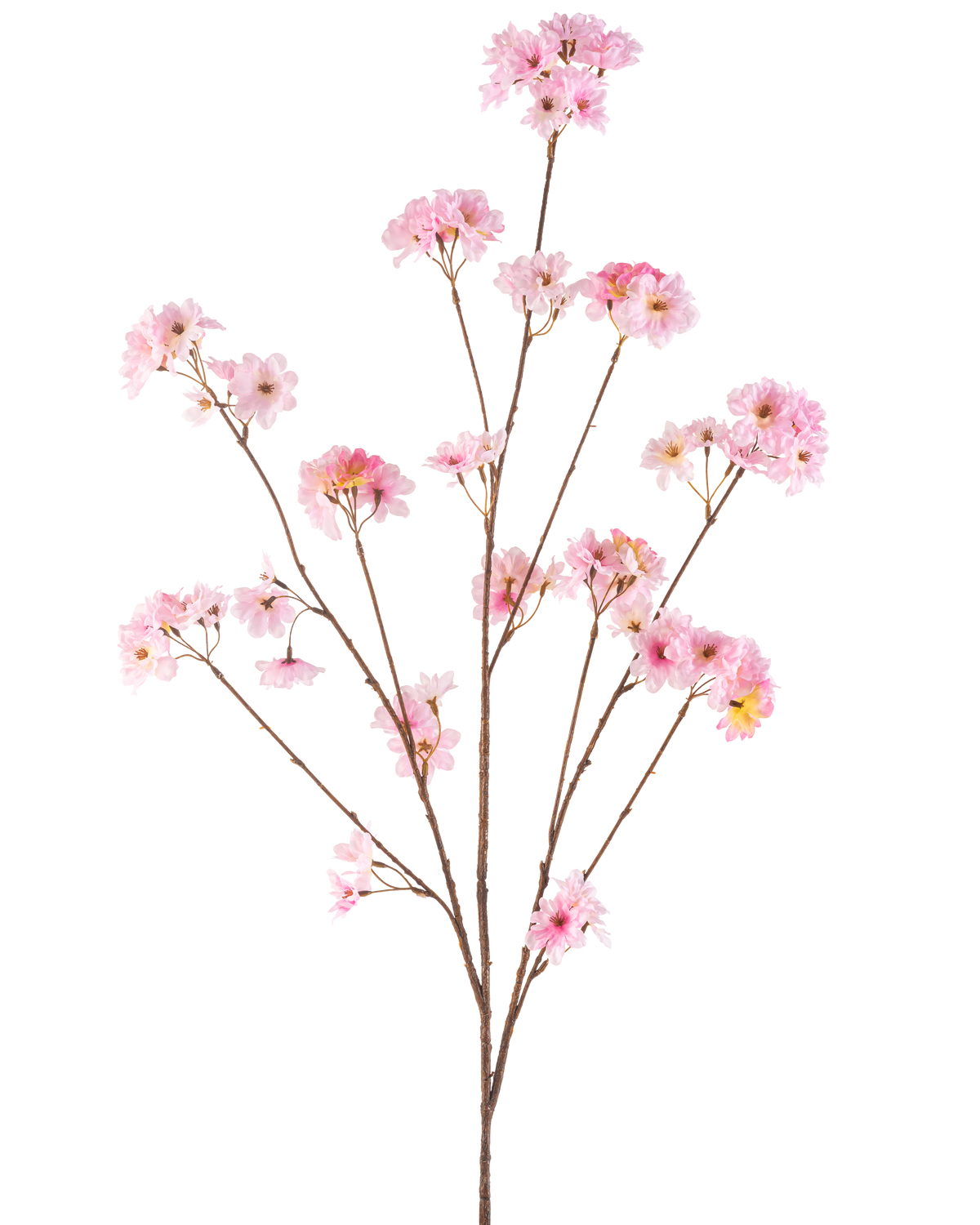 La flor de cerezo artificial en flor rosa de 130 cm tiene un único tallo marrón que se ramifica en racimos de delicadas flores de cerezo de color rosa, hermosas sobre un fondo blanco liso.