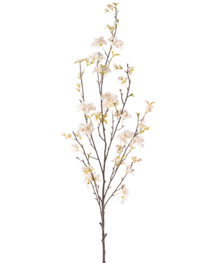 La flor artificial de cerezo en flor color crema de 150 cm tiene una rama alta con varios tallos finos, pequeñas flores blancas de cerezo y hojas verdes dispersas, todo ello sobre un fondo blanco liso.
