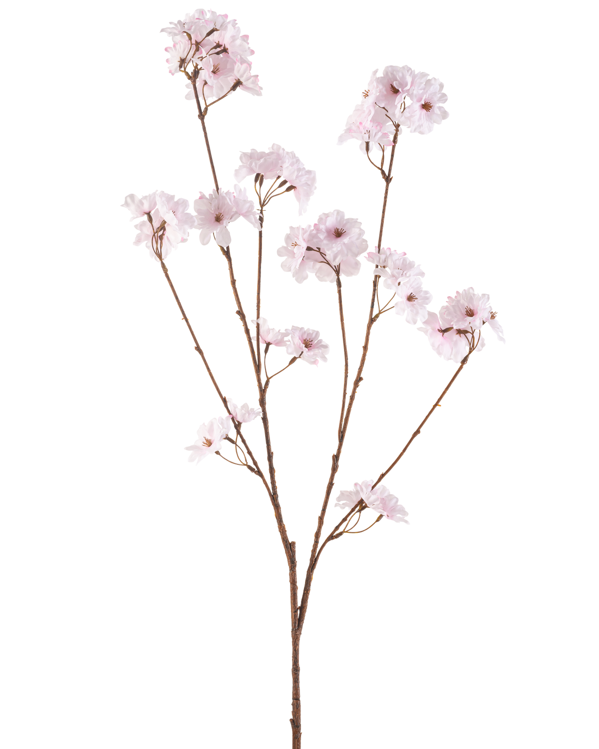 La flor artificial de cerezo en flor de 114 cm rosa claro tiene una sola rama marrón con múltiples tallos delgados, cada uno decorado con ramos de delicadas flores de cerezo de color rosa claro, sobre un fondo blanco liso.