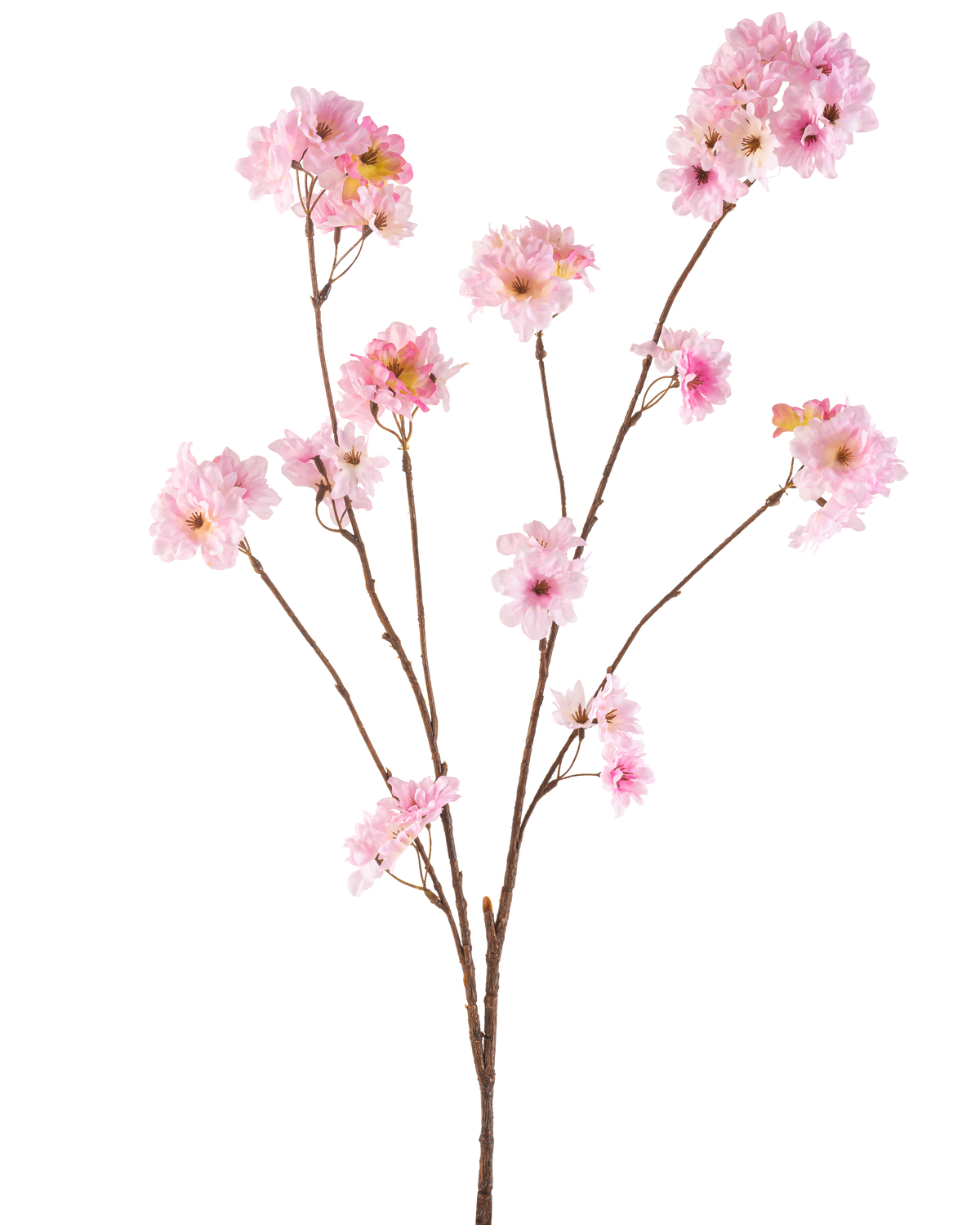 La flor de cerezo artificial en flor rosa de 114 cm tiene varios tallos delgados de color marrón con racimos de flores de cerezo de color rosa suave sobre un fondo blanco liso.