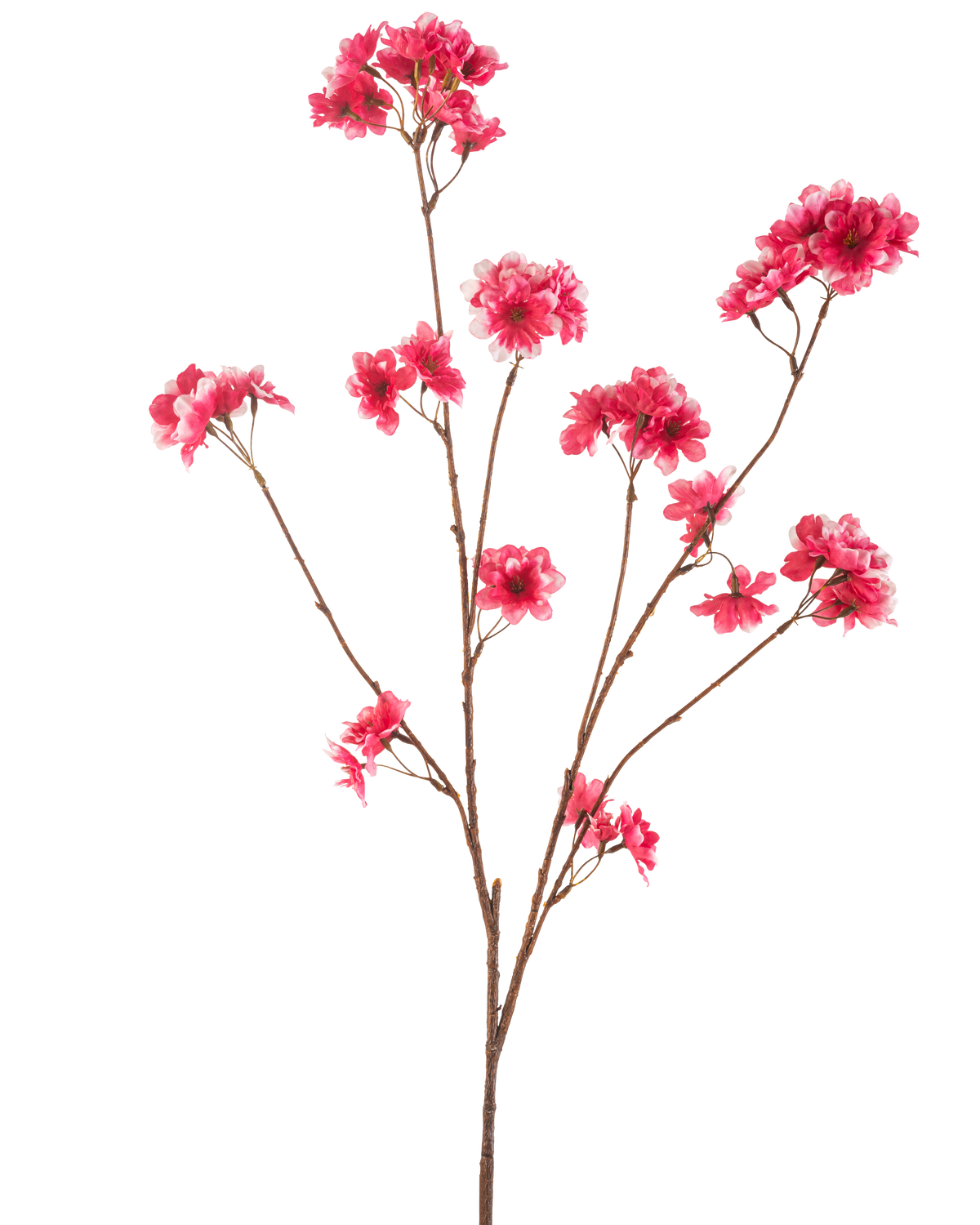 La flor de cerezo artificial fucsia de 114 cm muestra una sola rama marrón con múltiples tallos, cada uno con racimos de vibrantes flores artificiales de Navidad fucsia sobre un fondo blanco liso.