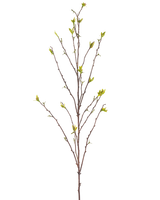 La Rama Artificial Winterzoet 107 cm verde tiene una sola rama desnuda con ramas finas y pequeñas hojas verdes en los extremos, sobre un fondo blanco liso.