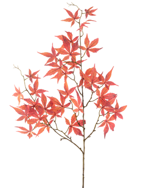 La flor artificial Hoja de arce de 109 cm roja tiene múltiples ramas delgadas decoradas con hojas de arce en forma de estrella de color rojo vibrante, bellamente expuestas sobre un fondo blanco liso.