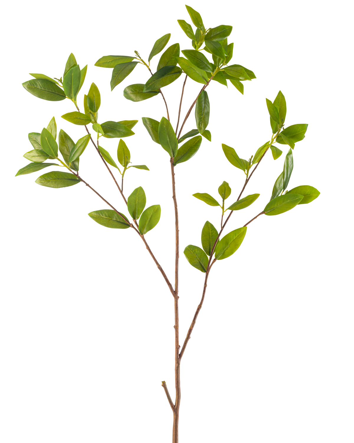 La rama artificial de hojas de 117 cm verde tiene una esbelta rama artificial con múltiples ramificaciones, cada una con manojos de suaves hojas verdes, sobre un fondo blanco liso.
