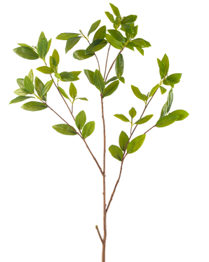 La rama artificial de hojas de 117 cm verde tiene una esbelta rama artificial con múltiples ramificaciones, cada una con manojos de suaves hojas verdes, sobre un fondo blanco liso.