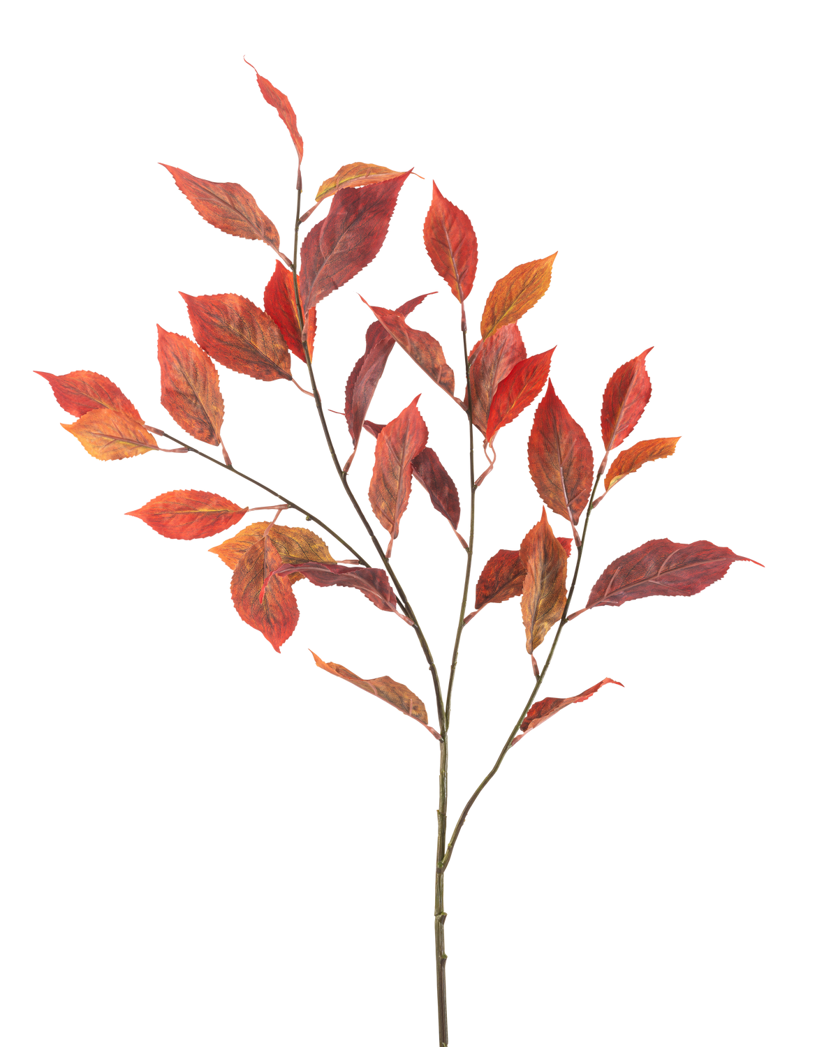 La flor artificial Hoja de Olmo 113 cm roja tiene múltiples tallos delgados con hojas otoñales de color rojo vibrante y naranja, aisladas sobre un fondo blanco.