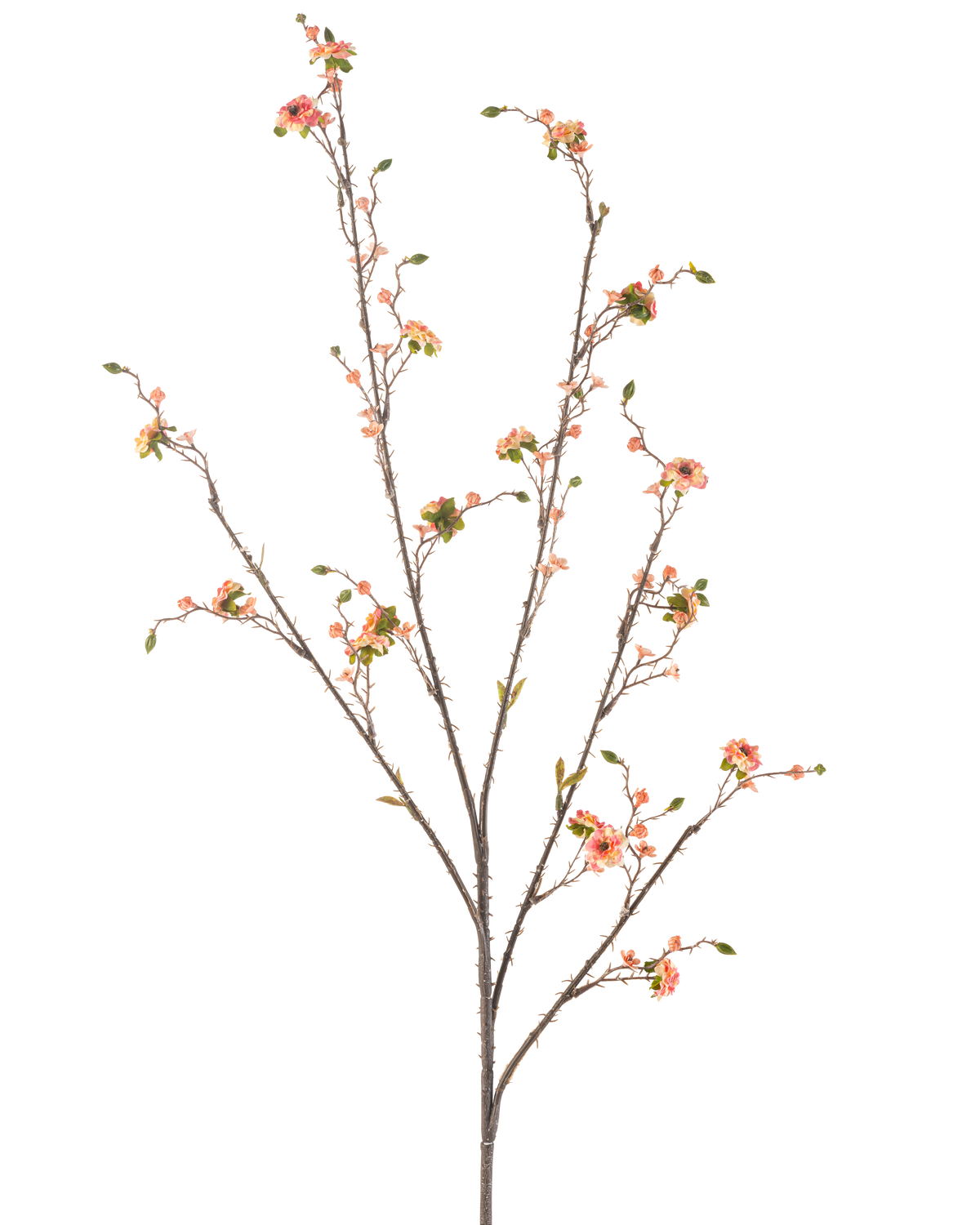 La Margarita Floral Artificial 108 cm rosa es una rama artificial alta y esbelta con varios vástagos, decorada con pequeñas flores rosas en forma de margaritas y hojas verdes, sobre un fondo blanco liso.