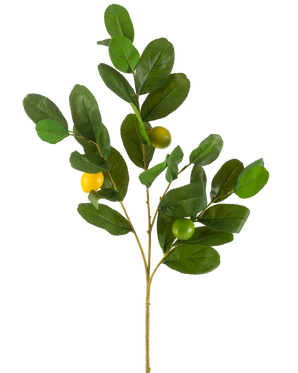 La Rama Artificial Limón 80 cm verde tiene una rama con hojas anchas y brillantes de color verde y tres frutos redondos de color amarillo verdoso, sobre un fondo blanco liso.