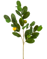 La Rama Artificial Limón 80 cm verde tiene una rama con hojas anchas y brillantes de color verde y tres frutos redondos de color amarillo verdoso, sobre un fondo blanco liso.