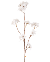 La flor artificial de cerezo en flor de 85 cm color crema tiene un tallo delgado de color marrón con múltiples ramas que sostienen racimos de delicadas flores de cerezo artificiales color crema, todo sobre un fondo blanco liso.