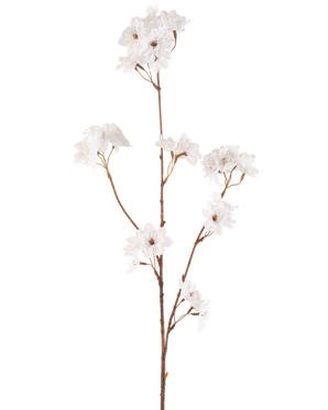 La flor artificial de cerezo en flor de 85 cm color crema tiene un tallo delgado de color marrón con múltiples ramas que sostienen racimos de delicadas flores de cerezo artificiales color crema, todo sobre un fondo blanco liso.
