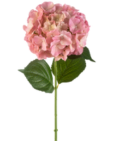La Flor Artificial Hortensia 75 cm rosa tiene una única flor de hortensia rosa con finos pétalos y dos grandes hojas verdes sobre un largo tallo verde, sobre un fondo blanco.