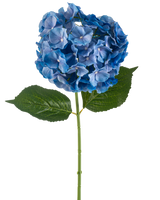 La Flor Artificial Hortensia 75 cm azul tiene un único tallo de hortensia azul con un grupo redondo de pétalos y dos grandes hojas verdes sobre un fondo blanco liso.