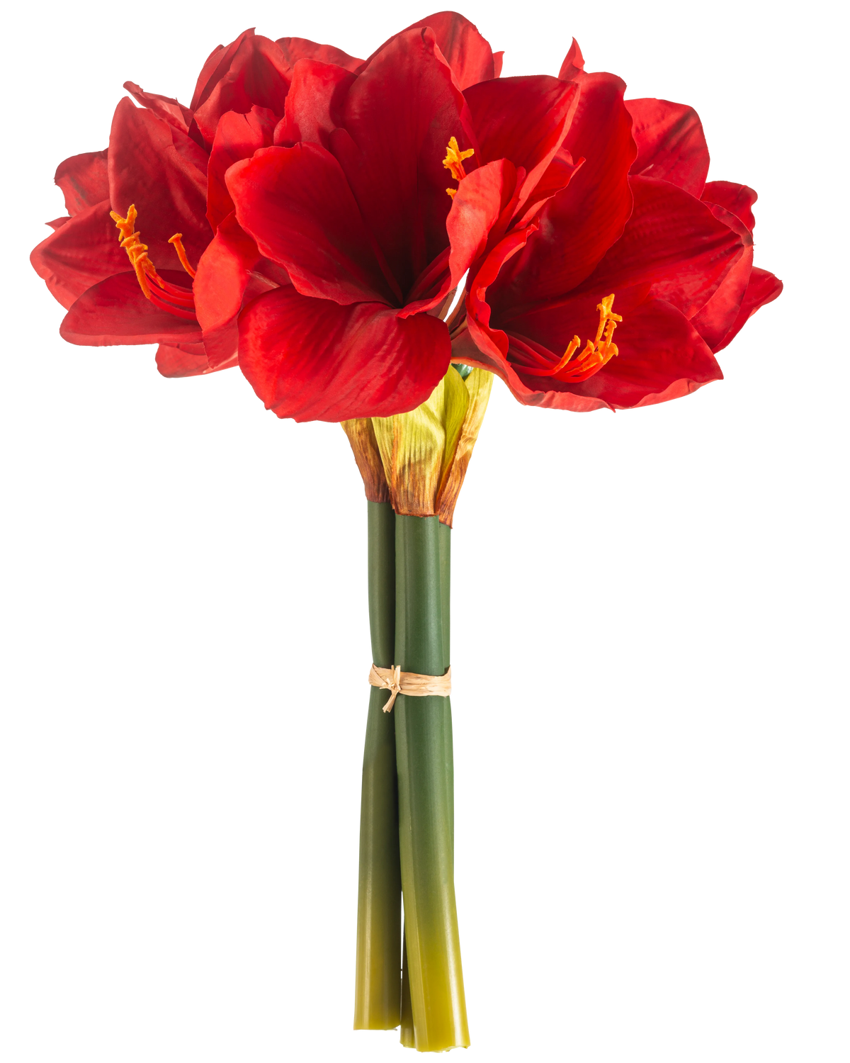 La Flor Artificial Amarilis Real Touch roja 36 cm tiene flores de amarilis de color rojo vibrante con tallos verdes, unidas con una banda elástica, sobre un fondo blanco liso.