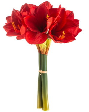 La Flor Artificial Amarilis Real Touch roja 36 cm tiene flores de amarilis de color rojo vibrante con tallos verdes, unidas con una banda elástica, sobre un fondo blanco liso.