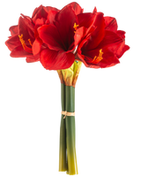 La Flor Artificial Amarilis Real Touch roja 36 cm tiene flores de amarilis de color rojo vibrante con tallos verdes, unidas con una banda elástica, sobre un fondo blanco liso.