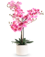 La Orquídea Artificial Real Touch 68 cm rosa tiene una orquídea rosa vibrante con múltiples tallos y hojas verdes en una maceta de cerámica blanca, sobre un fondo blanco liso.
