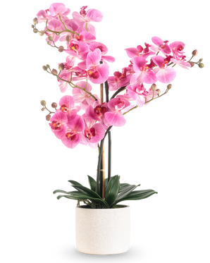 La Orquídea Artificial Real Touch 68 cm rosa tiene una orquídea rosa vibrante con múltiples tallos y hojas verdes en una maceta de cerámica blanca, sobre un fondo blanco liso.