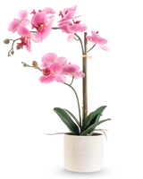 La Orquídea Artificial Real Touch 60 cm rosa/blanco tiene una orquídea rosa y blanca con varias flores y hojas verdes en una maceta texturizada blanca, sostenida por una fina vara de bambú, sobre un fondo blanco liso.