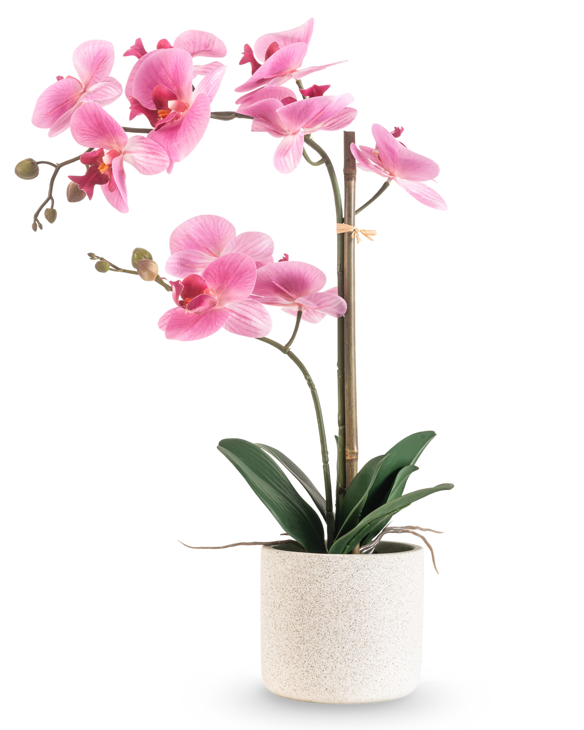 La Orquídea Artificial Real Touch 60 cm rosa/blanco tiene una orquídea rosa y blanca con varias flores y hojas verdes en una maceta texturizada blanca, sostenida por una fina vara de bambú, sobre un fondo blanco liso.