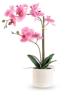 La Orquídea Artificial Real Touch 60 cm rosa/blanco tiene una orquídea rosa y blanca con varias flores y hojas verdes en una maceta texturizada blanca, sostenida por una fina vara de bambú, sobre un fondo blanco liso.