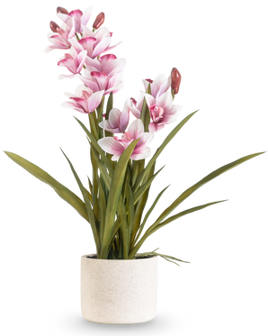 El Cymbidium Artificial Real Touch 60 cm rosa tiene largas hojas verdes y múltiples orquídeas rosas y blancas en tallos largos, dispuestas en una sencilla maceta con textura blanquecina sobre un fondo liso.