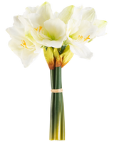 La Flor Artificial Amarilis Real Touch blanca de 36 cm tiene flores realistas de amarilis blancas con centros de color verde claro y estambres amarillos, atadas con una banda beige alrededor de tallos verdes, perfectas sobre un fondo blanco liso.