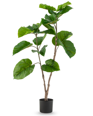 La Planta Artificial Ficus Rumphii 120 cm es una planta artificial alta con hojas anchas y brillantes de color verde y múltiples ramas, en una sencilla maceta negra sobre un fondo blanco liso.