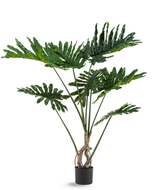 La Planta Artificial Filodendro 120 cm tiene hojas verdes grandes, brillantes y profundamente cortadas y varios tallos largos con un tronco retorcido, sobre un fondo blanco liso.