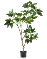 La planta Schefflera artificial de 120 cm tiene varios tallos delgados de color marrón con manojos de hojas grandes y de color verde brillante en una pequeña maceta negra, sobre un fondo blanco liso.