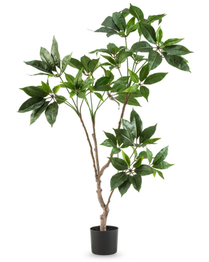 La planta Schefflera artificial de 120 cm tiene varios tallos delgados de color marrón con manojos de hojas grandes y de color verde brillante en una pequeña maceta negra, sobre un fondo blanco liso.