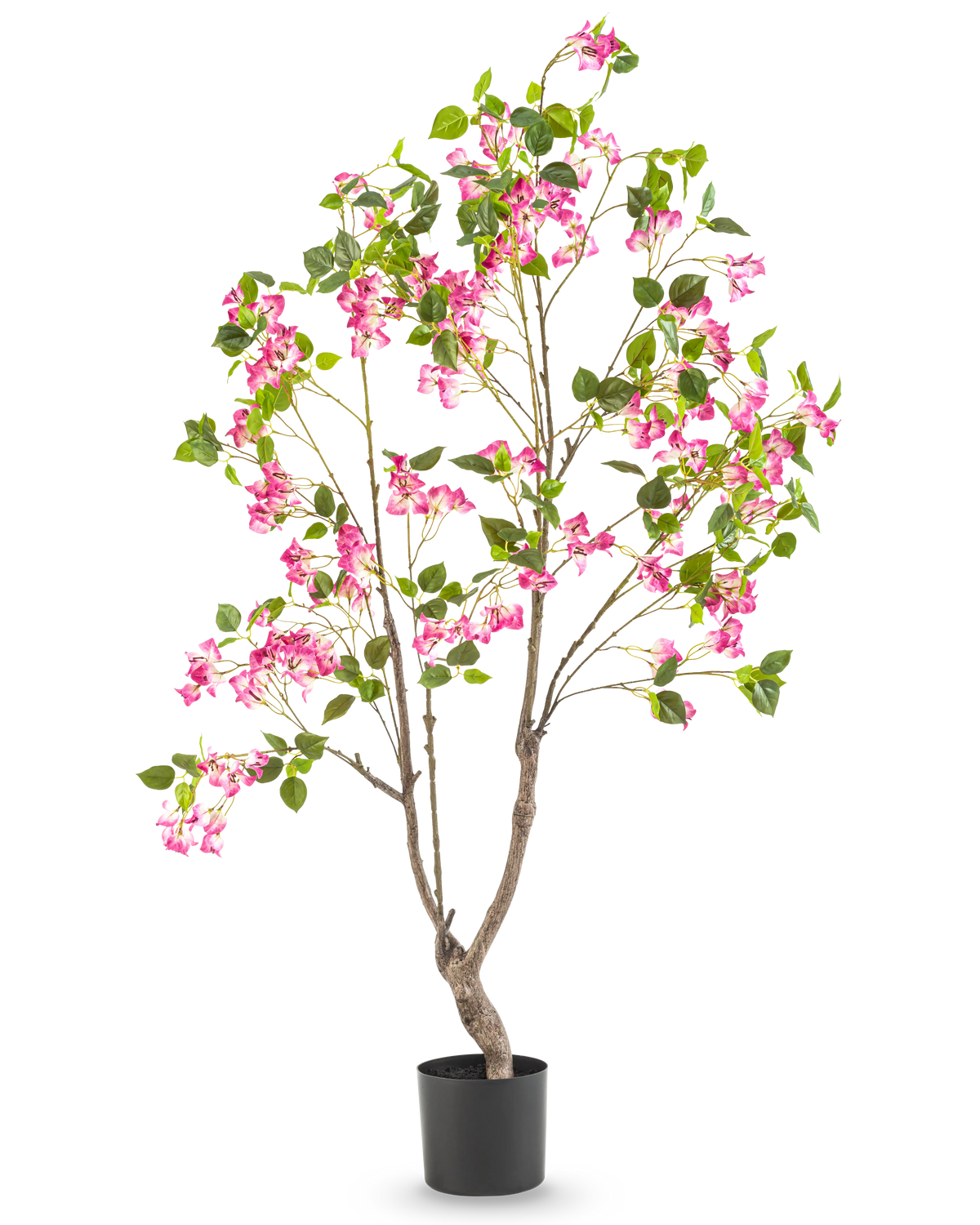 La Buganvilla Artificial de 150 cm es una planta artificial alta con múltiples ramas, hojas verdes y flores de color rosa vibrante en una maceta negra, sobre un fondo blanco liso.