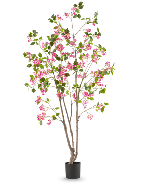 La buganvilla artificial de 180 cm es una planta artificial alta con varios tallos marrones, hojas verdes y flores de color rosa brillante en una maceta negra, sobre un fondo blanco liso.