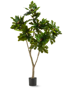 La Planta Artificial Ficus Carica Higuera 180 cm es una planta artificial en maceta con hojas anchas de color verde brillante y pequeños frutos marrones, que recuerdan a una higuera, sobre un fondo blanco.