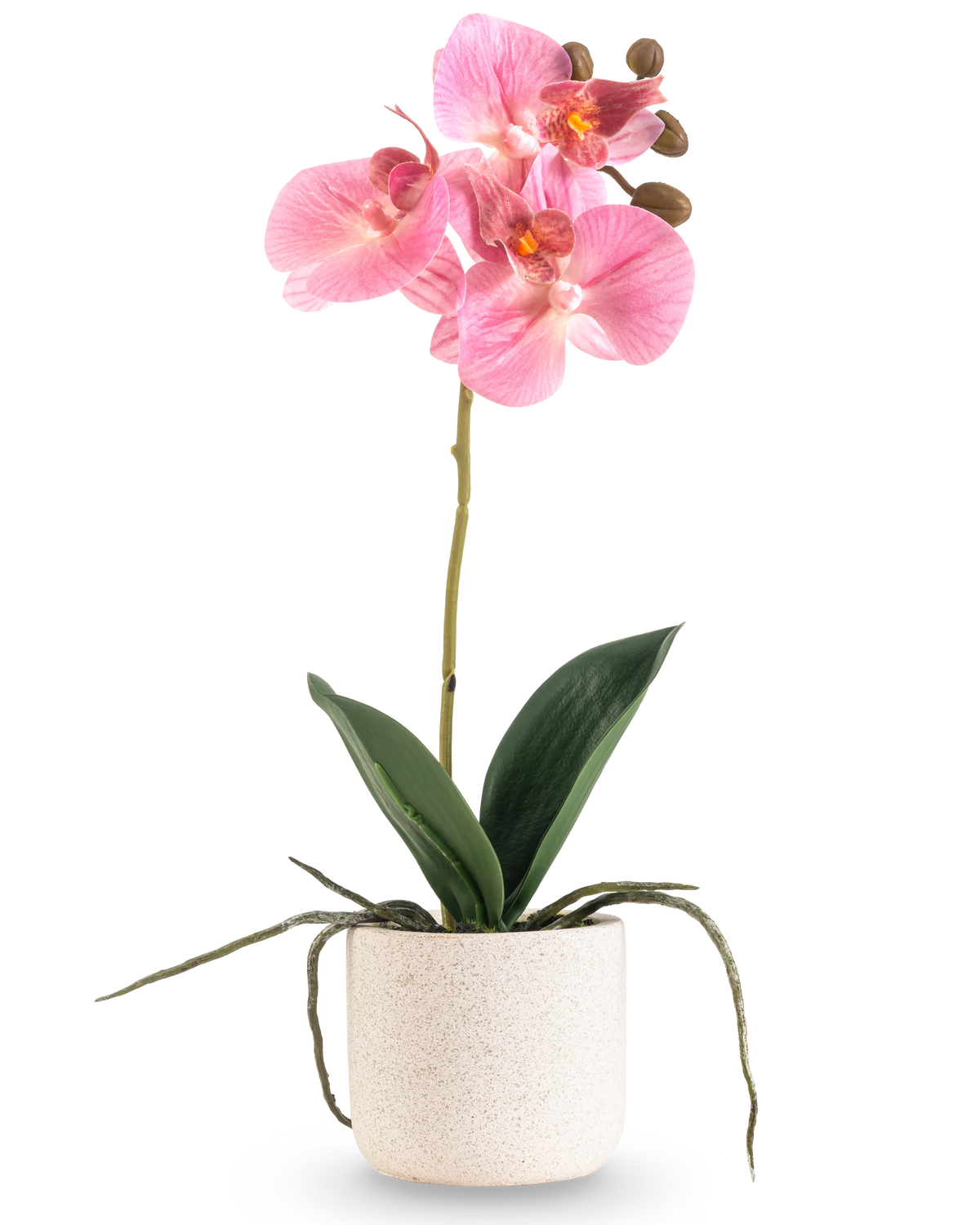 La Orquídea Artificial Real Touch de 30 cm rosa tiene varias flores y capullos de color rosa en un tallo largo con hojas anchas de color verde y raíces visibles, todo ello dispuesto en una sencilla maceta con textura blanca sobre un fondo blanco liso.