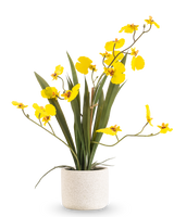 El Oncidium artificial Real Touch 48 cm amarillo tiene hojas largas y delgadas y tallos largos con orquídeas de color amarillo brillante en una maceta blanca, sobre un fondo blanco liso.