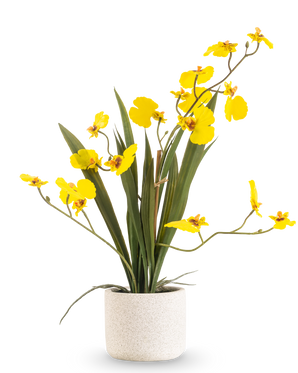 El Oncidium artificial Real Touch 48 cm amarillo tiene hojas largas y delgadas y tallos largos con orquídeas de color amarillo brillante en una maceta blanca, sobre un fondo blanco liso.