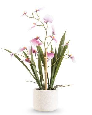 El Oncidium Artificial Real Touch 48 cm rosa tiene una orquídea alta con largas hojas verdes y delicadas flores rosas en tallos curvos, en una maceta con textura blanca sobre un fondo blanco liso.