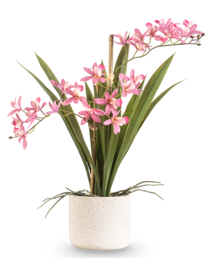La Planta Artificial Mini Cymbidium Real Touch 45 cm rosa tiene largas hojas verdes y varios tallos florales de color rosa, dispuestos en una sencilla maceta de textura blanca y sobre un fondo liso.