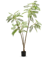 La planta artificial Mahonia 210 cm es una planta artificial alta en una maceta con tallos delgados de color marrón y hojas verdes largas y estrechas, representadas sobre un fondo blanco liso.