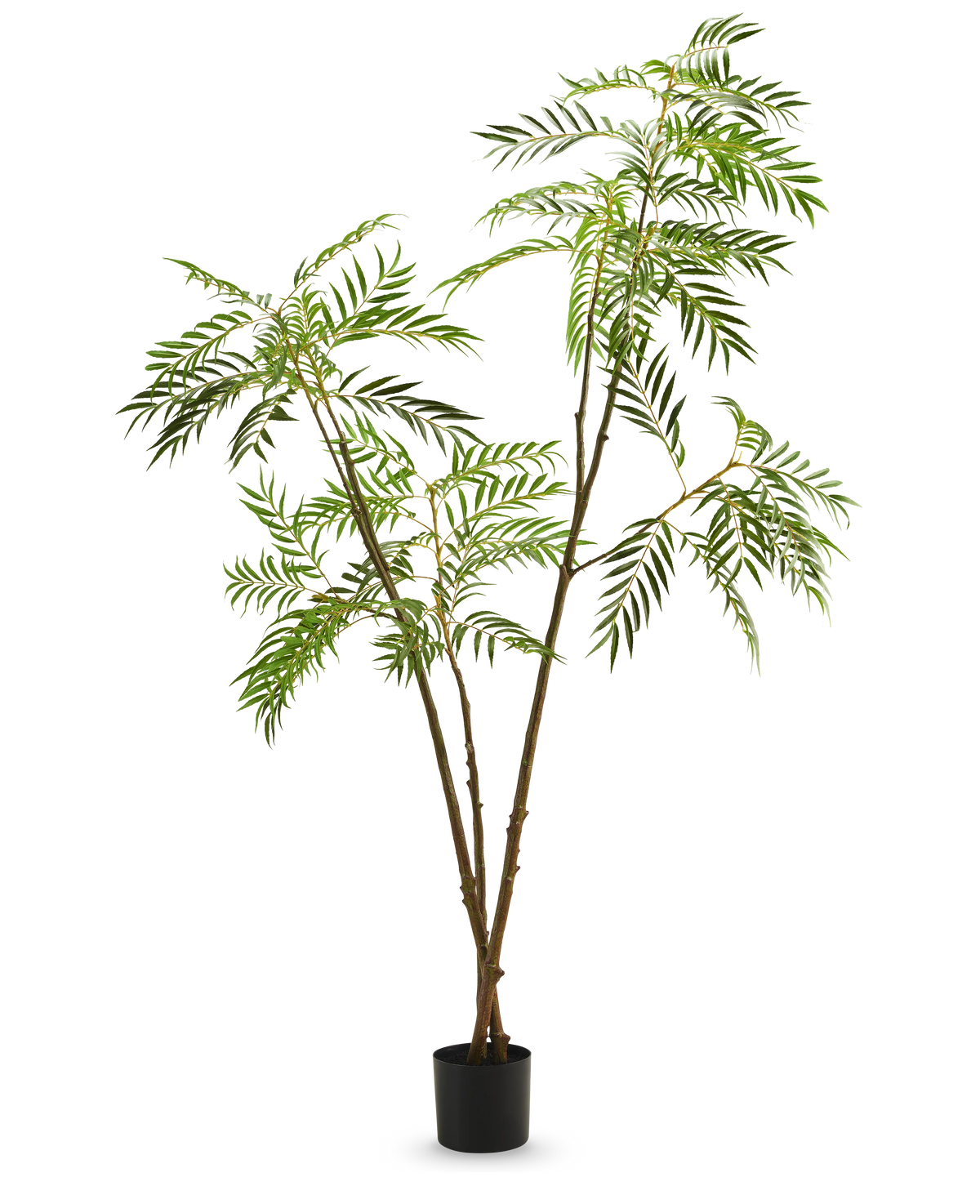 La planta artificial Mahonia 210 cm es una planta artificial alta en una maceta con tallos delgados de color marrón y hojas verdes largas y estrechas, representadas sobre un fondo blanco liso.