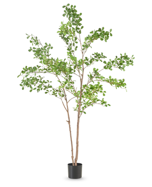La Planta Artificial Terminalia Catappa 150 cm es un árbol artificial alto con esbeltas ramas marrones y hojas verdes en una sencilla maceta negra, sobre un fondo blanco liso.