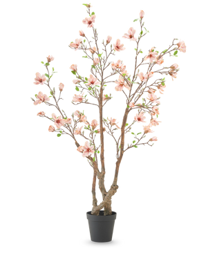 La Planta Artificial Magnolia 220 cm es un árbol de magnolia artificial en maceta con varias ramas marrones, flores de color rosa claro y hojas verdes en una sencilla maceta negra sobre un fondo blanco.