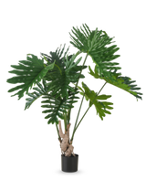 La planta artificial Filodendro de 150 cm tiene hojas verdes grandes, brillantes y profundamente lobuladas sobre tallos largos, sobre un fondo blanco liso.