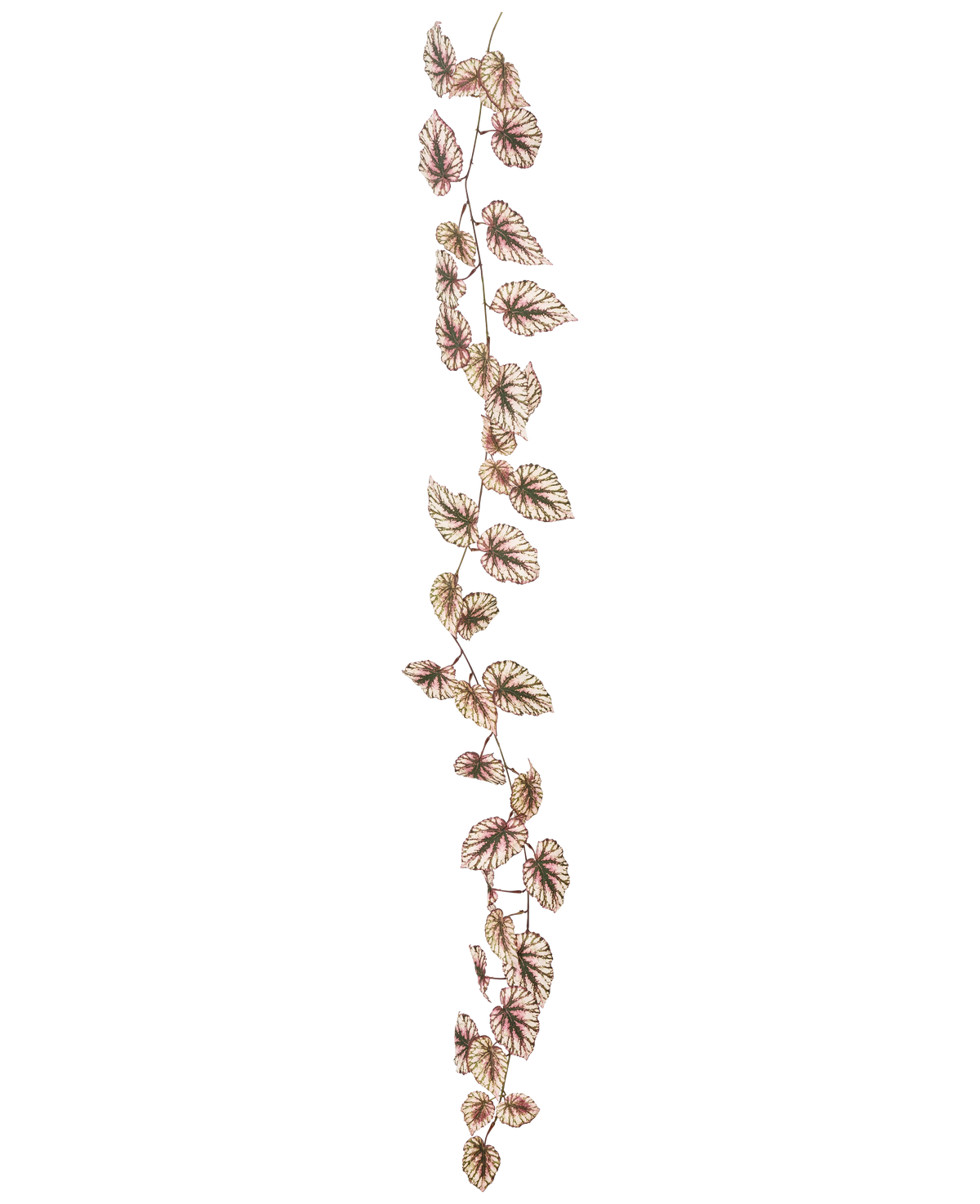 La guirnalda de Begonia artificial de 180 cm UV tiene una enredadera única y delgada decorada con muchas hojas pequeñas de color verde y rosa, todo ello sobre un fondo blanco intenso.