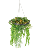 La planta colgante artificial helecho UV 40 cm en anillo negro tiene exuberantes plantas artificiales de color verde y amarillo y enredaderas sinuosas en una planta colgante negra con cadenas plateadas, sobre un fondo blanco.
