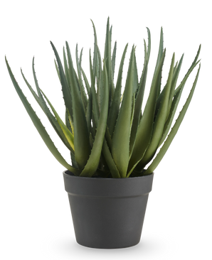 La planta de aloe artificial de 46 cm tiene hojas verdes largas y puntiagudas y se presenta en una sencilla maceta de color gris oscuro, sobre un fondo blanco liso.